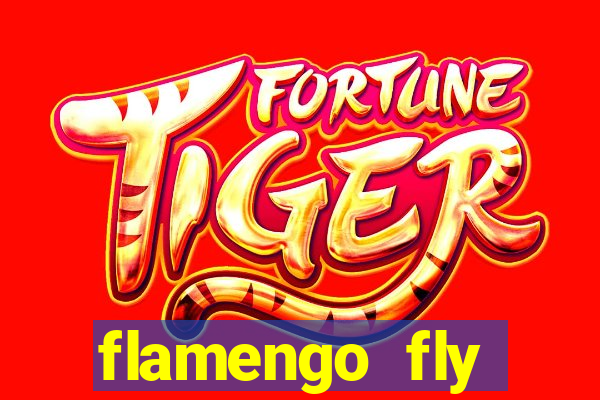 flamengo fly emirates ultimas noticias